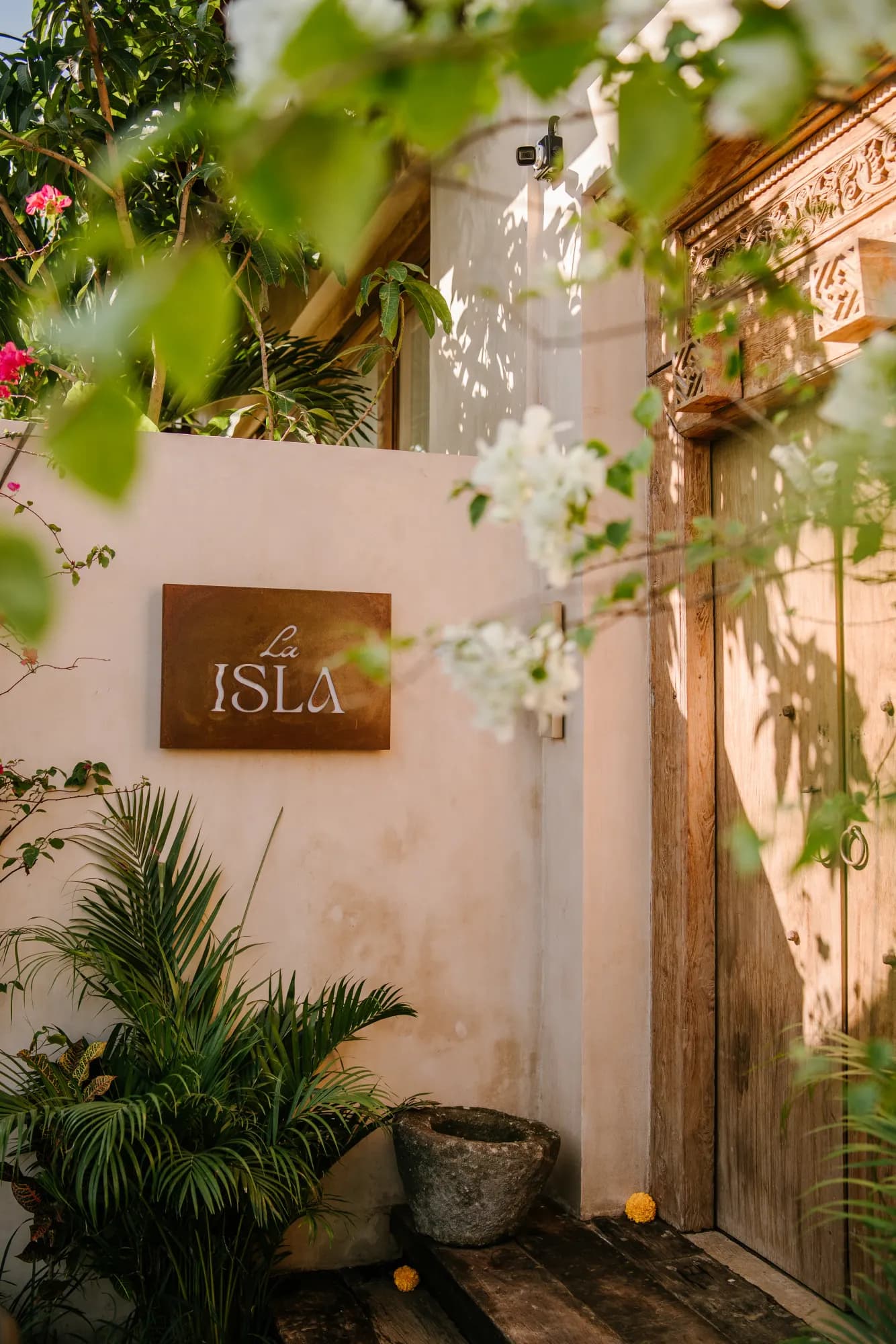 Shaded courtyard with lush vegetation and palm trees