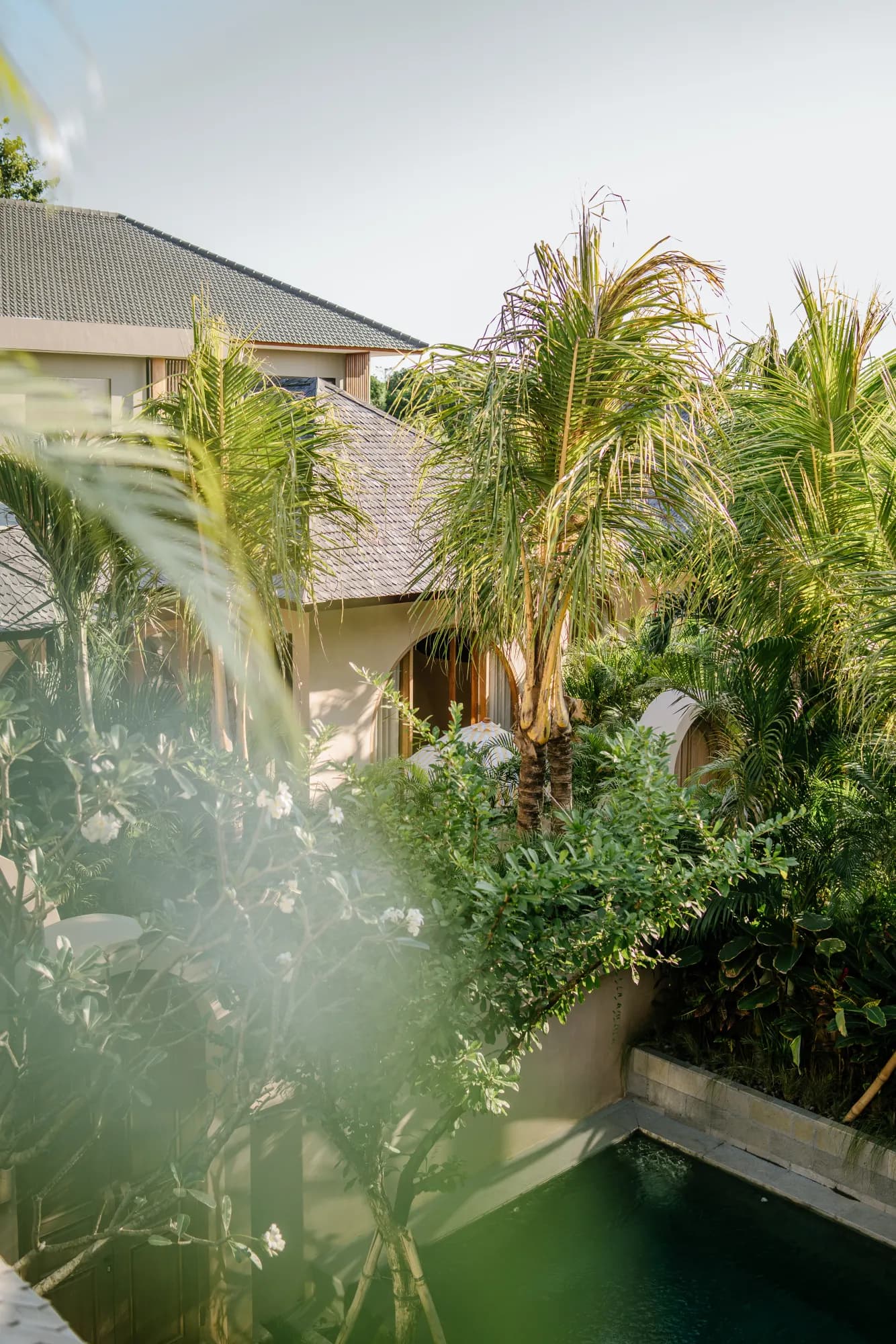 Architectural courtyard with tropical landscaping and building facades