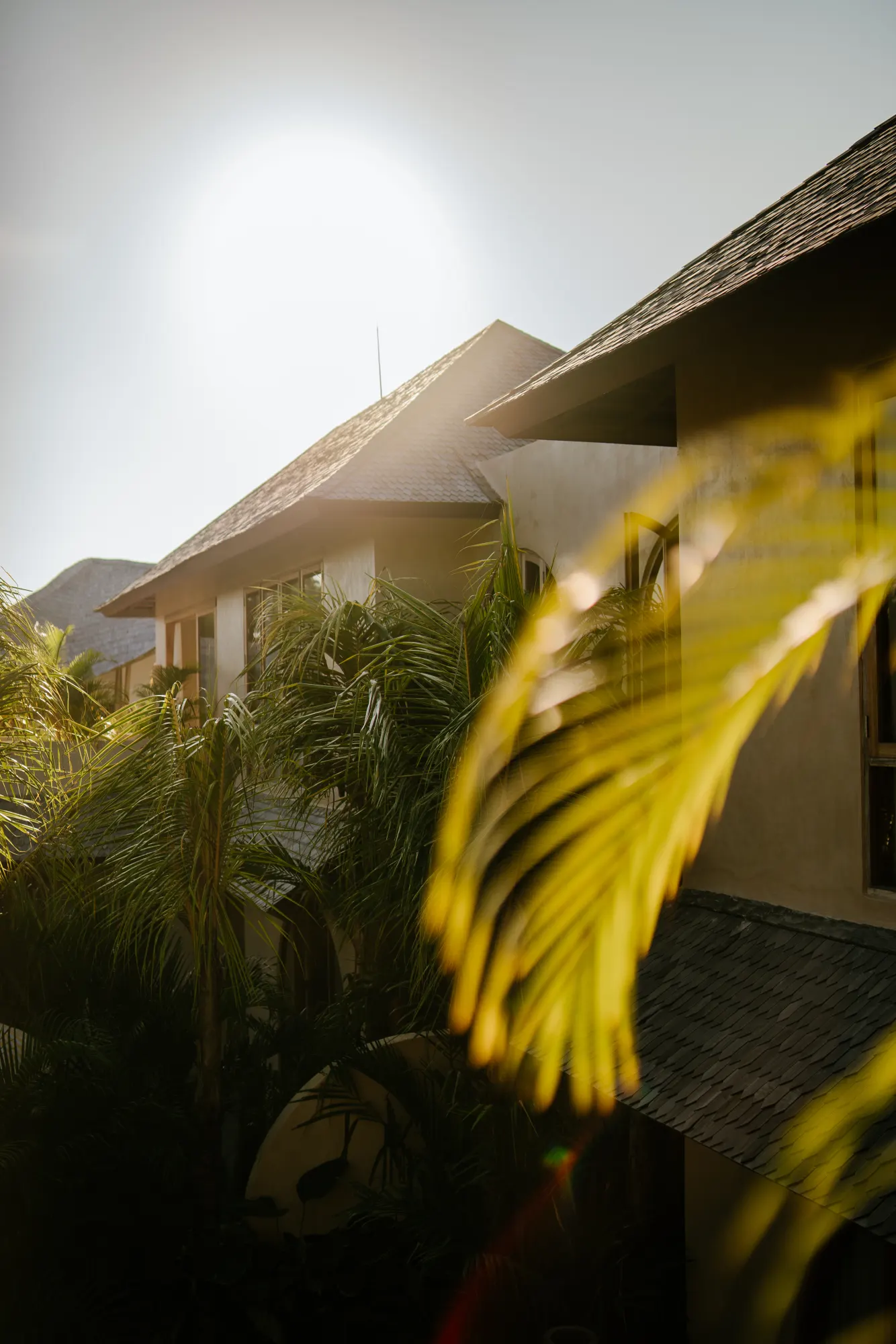 Building facade with modern architectural elements and tropical planting