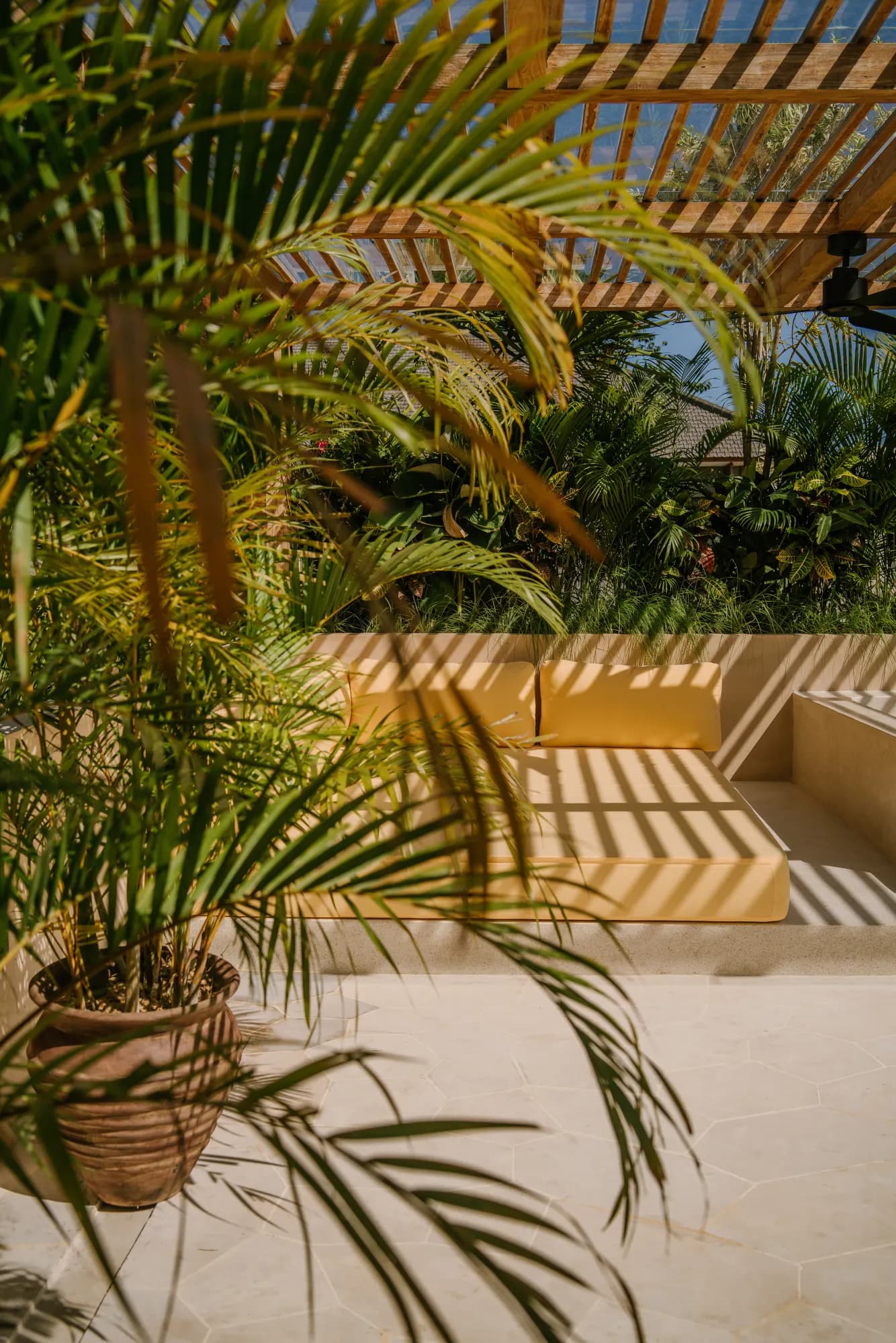 Tropical planting detail under wooden pergola structure